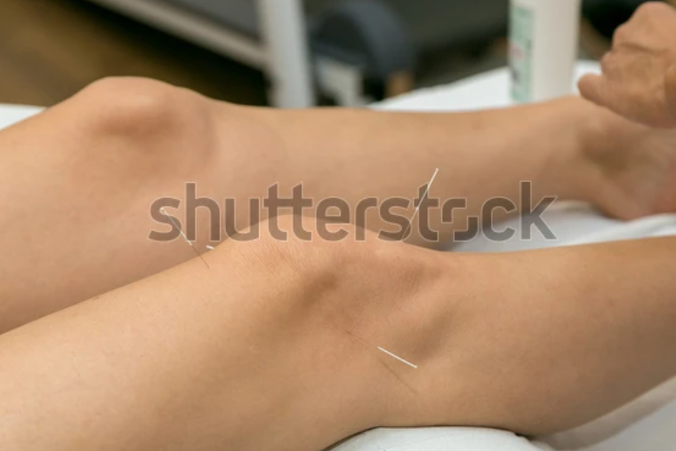 Knee Therapy