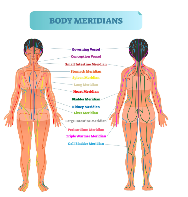 Body Meridians Diagram